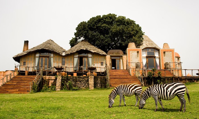 Safari and luxury lodge holidays